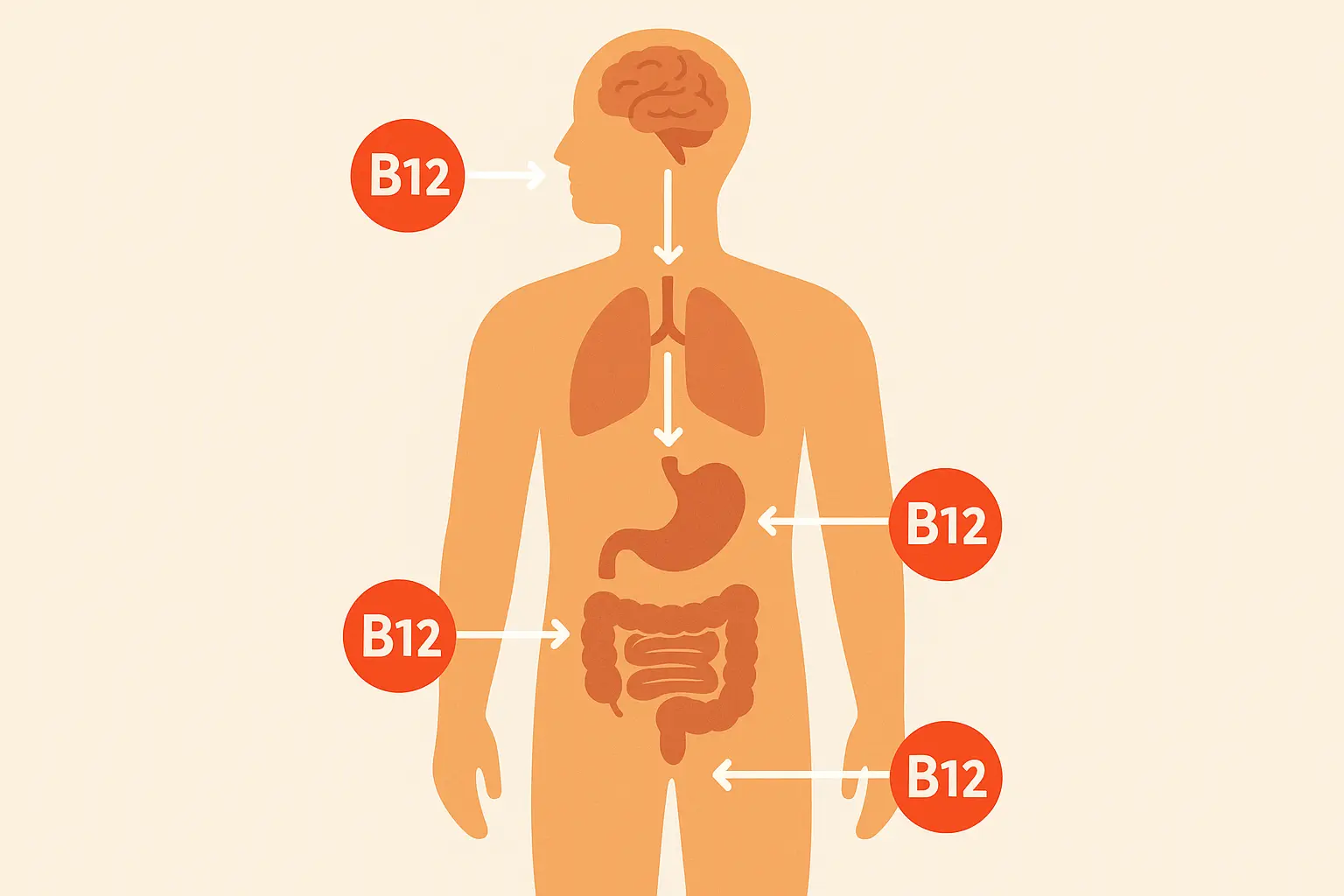 vitamin b12 injection covered by medicare Medicare and B12 injections: Are They Covered?